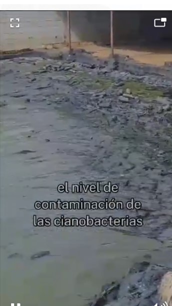 AZUL AMBIENTALISTAS DECLARA ALERTA FRENTE A LA SITUACIÓN CRITICA EN EL LAGO DE&nbsp;MARACAIBO