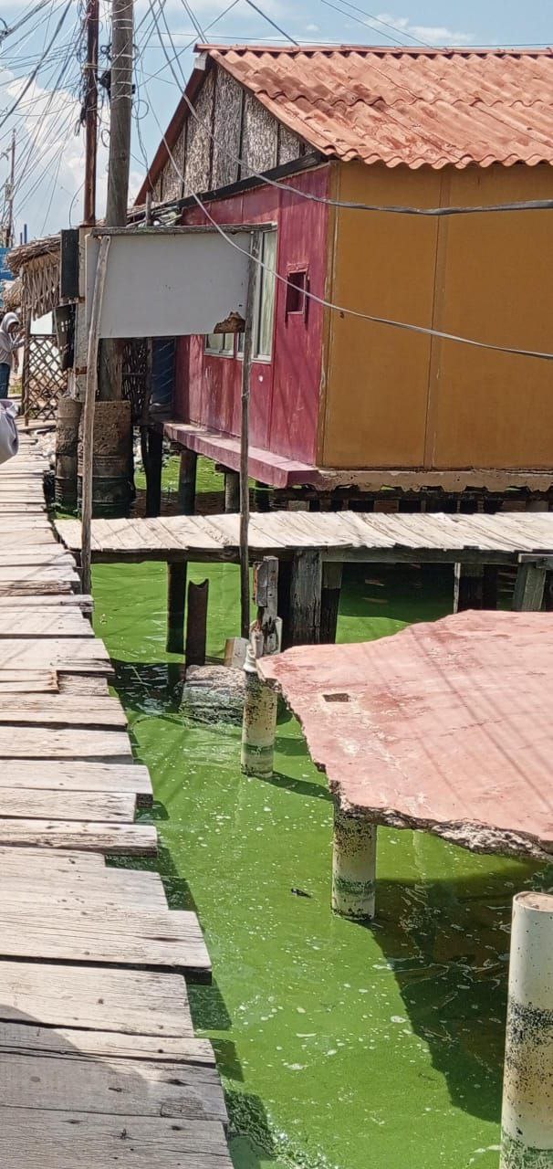 Santa Rosa es un boom económico pero necesita más&nbsp;atención