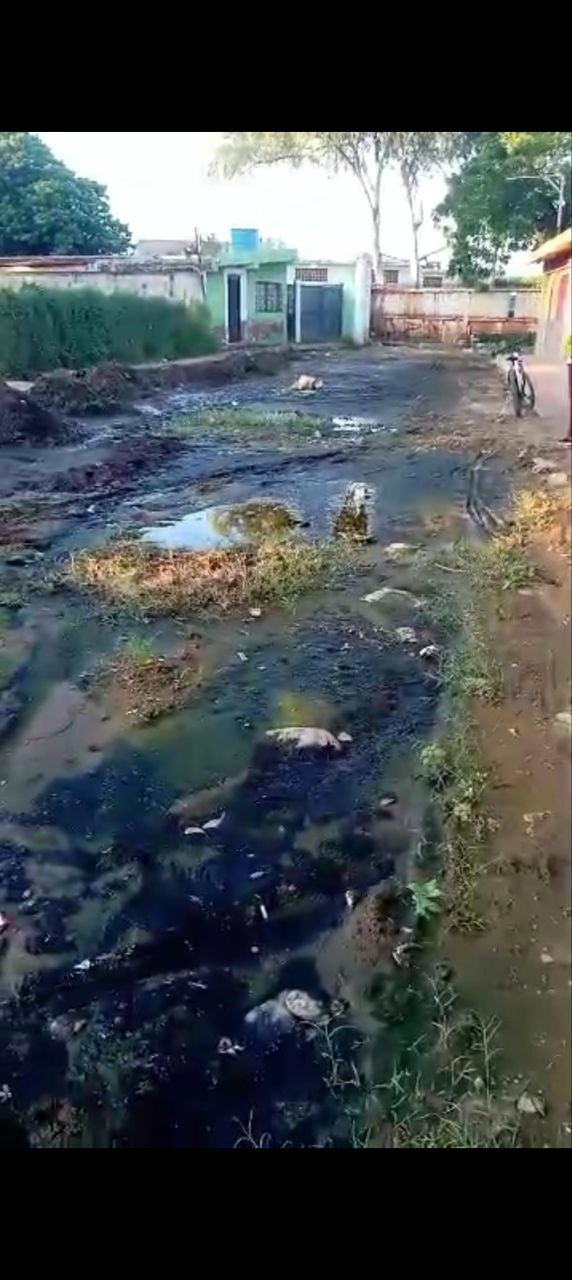 Denuncia de la Comunidad, Entre Aguas Negras viven en la Parroquia Idelfonso&nbsp;Vásquez