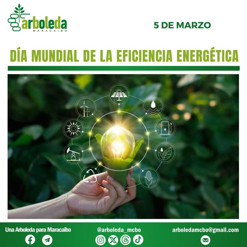 Día Mundial de la Eficiencia&nbsp;Energética