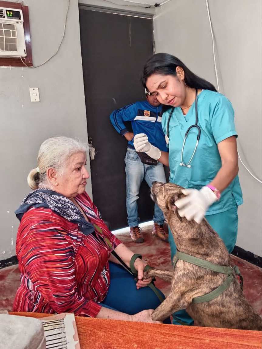 Jornada de Atención Animal en San Francisco ha beneficiado a más de 800&nbsp;mascotas