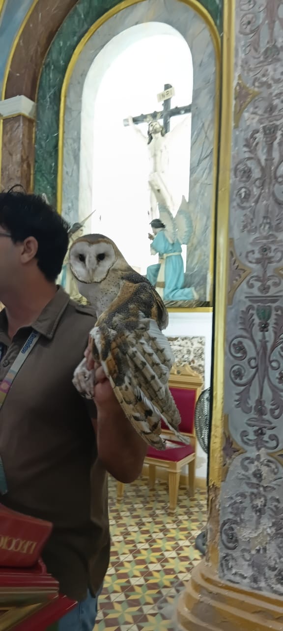 BRICPAZ y Club de Leones solicitan a miembros del Concejo Municipal de Maracaibo prohibición de fuegos artificiales en la&nbsp;ciudad