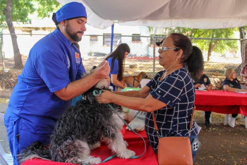 En 3 meses! Instituto Municipal de Protección Animal supera las mil esterilizaciones y más de 5.000&nbsp;atenciones