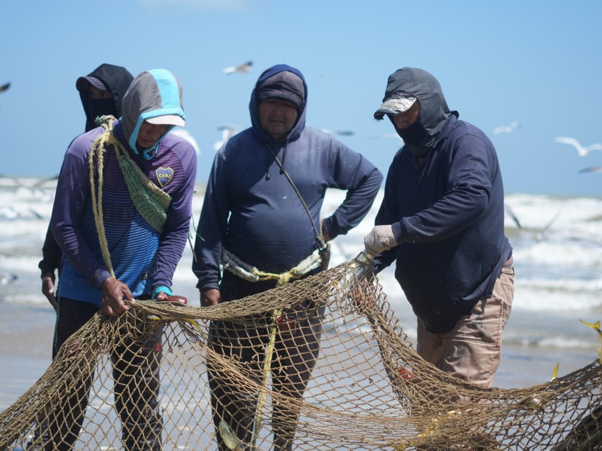 Gobierno fortalece sector pesquero con censo en el municipio&nbsp;Guajira
