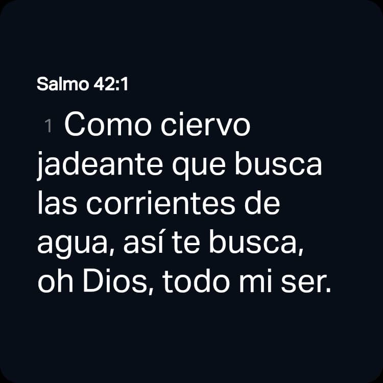 Un minuto con&nbsp;Dios