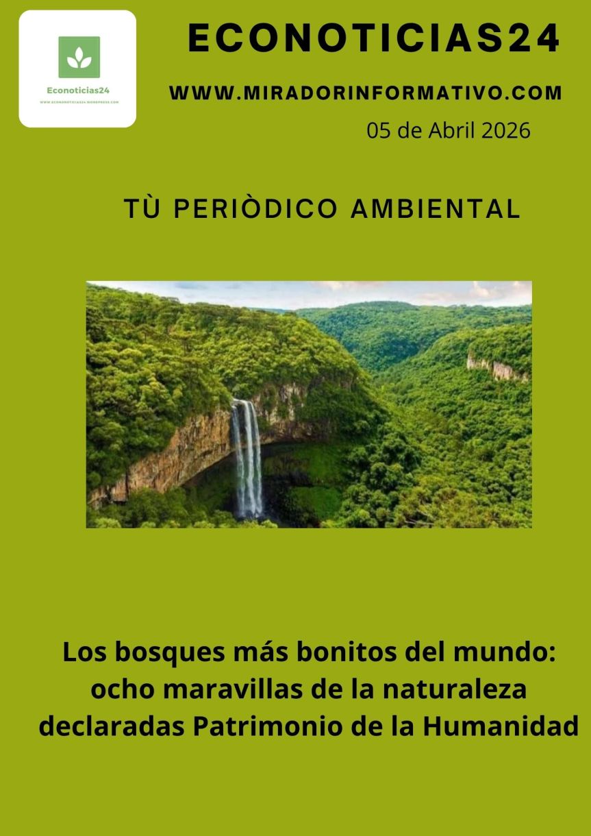 Econoticias24 Los bosques más bonitos del mundo: ocho maravillas de la naturaleza declaradas Patrimonio de la&nbsp;Humanidad